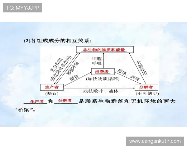 永乐国际ag厅多样化游戏类型及最佳玩法推荐指南