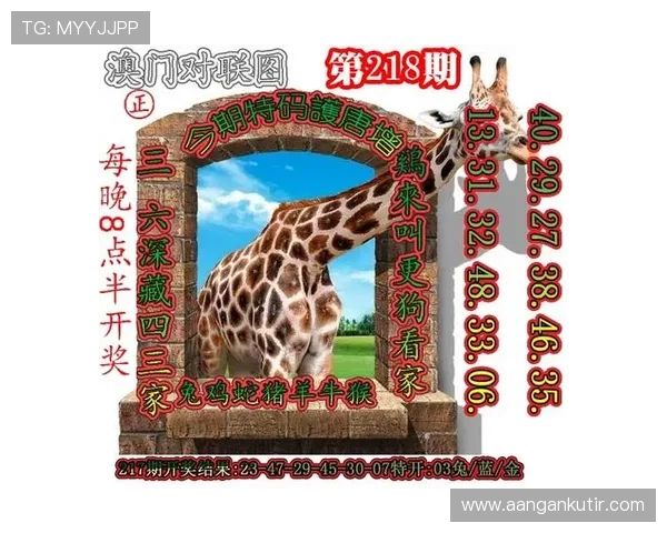 详细解析k8凯发官网网址热门游戏类型及玩法技巧分享